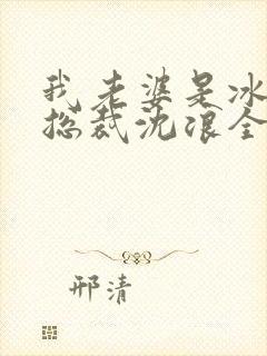 我老婆是冰山女总裁沈浪全集