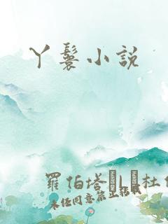 丫鬟小说
