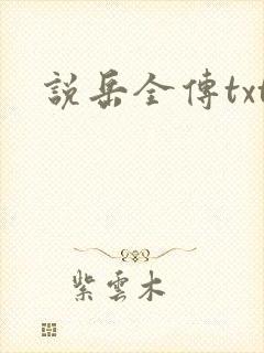 说岳全传txt