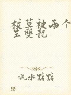 校草被两个体育生双龙