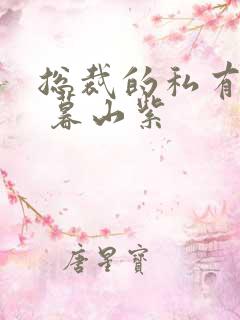 总裁的私有宝贝 暮山紫