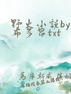 野火小说by夏布多昂txt