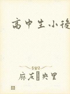 高中生小后妈
