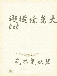 邂逅亿万大人物txt