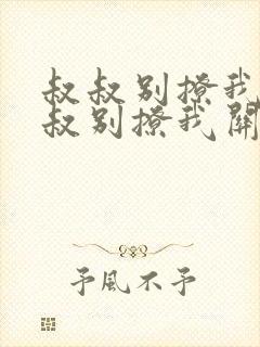 叔叔别撩我与叔叔别撩我关系