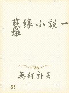 孽缘小说一家乱炖