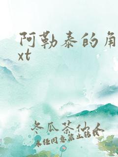 阿勒泰的角落txt