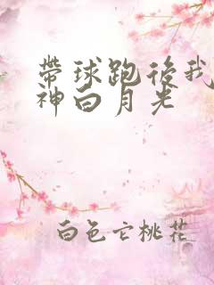 带球跑后我成男神白月光