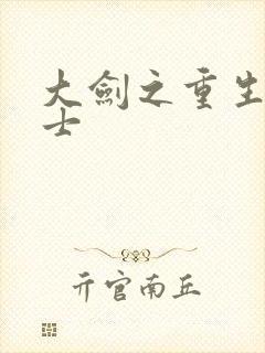 大剑之重生圣骑士