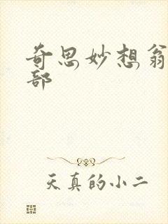 奇思妙想翁十三部