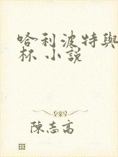 哈利波特与火焰杯 小说