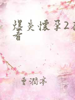 爆炎怀孕2在线看
