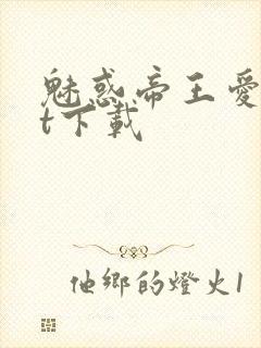 魅惑帝王爱txt下载