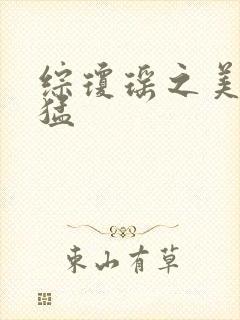 综琼瑶之美人凶猛