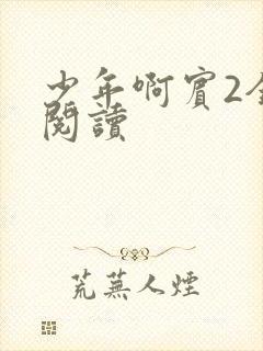 少年啊宾2全文阅读