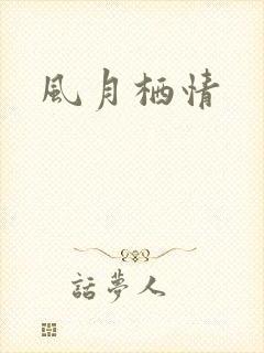 风月栖情