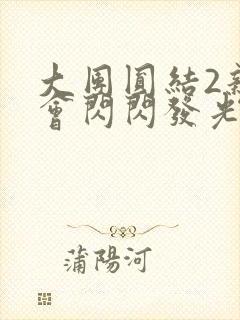 大团圆结2亲情会闪闪发光亲情会2