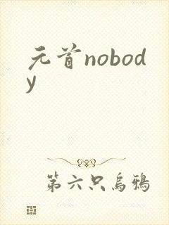 元首nobody