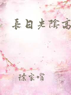 长日光阴高h