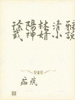 徐阳林清雅绝世武神婿小说