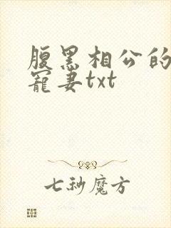 腹黑相公的庶女宠妻txt