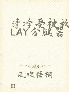 清冷受被放置PLAY分腿器