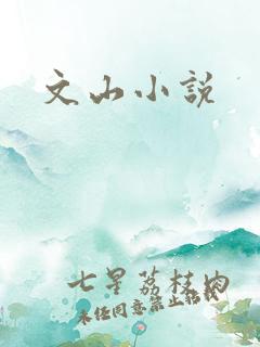 文山小说