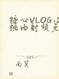 糖心VLOG小桃内射频免费