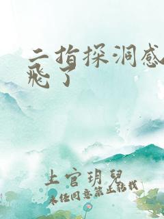 二指探洞感觉要飞了