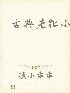 古典老牝小说