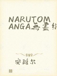 NARUTOMANGA无尽纲手