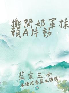 撕开奶罩揉吮奶头A片动