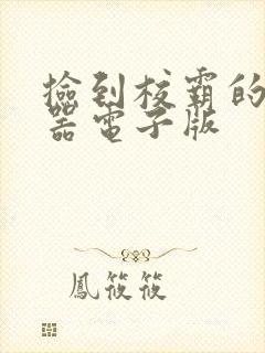 捡到校霸的遥控器电子版