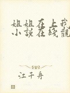 姐姐在上我在下小说在线观看