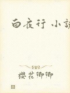 白夜行 小说