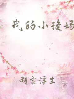 我的小后妈小说