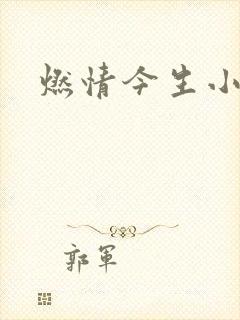 燃情今生小说