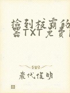 捡到校霸的遥控器TXT免费阅读