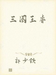 三国王睿