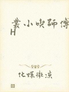 丛小吃师傅的HH
