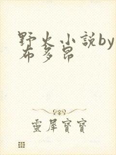 野火小说by夏布多昂