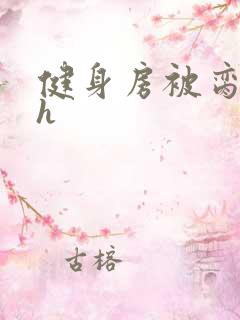 健身房被脔日常h