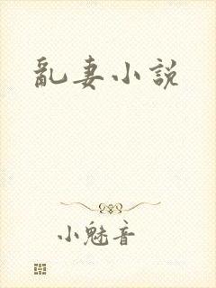 乱妻小说