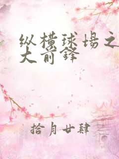 纵横球场之暴力大前锋