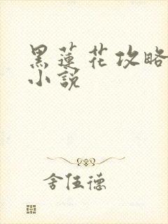 黑莲花攻略手册小说