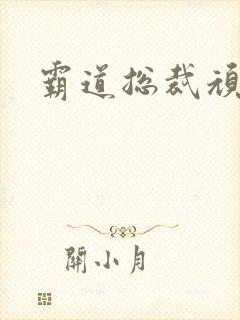 霸道总裁顽劣妻