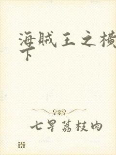 海贼王之横行天下