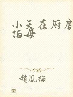 小天在厨房插杨伯母