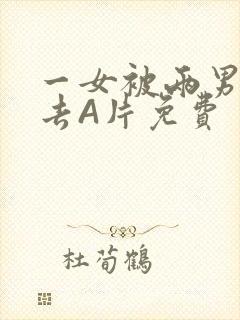 一女被两男桶进去A片免费