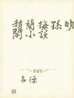 赵兰梅孙明笔趣阁小说